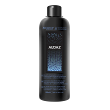 Alcance Restaurador de Plásticos e Borrachas Internos Audaz Protectant (500ml)